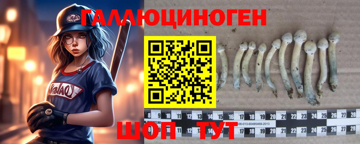 Псилоцибиновые грибы Psilocybine cubensis Ишим